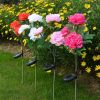 LED Roses with Leaves Flower Stake, Solar Energy for Garden Backyard(D0101HX6JC2)