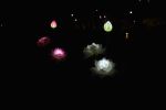 Lotus Flower Shape Lawn Lamps 3 LED Lighting Waterproof Solar Lamp(D0101HX6JBP)